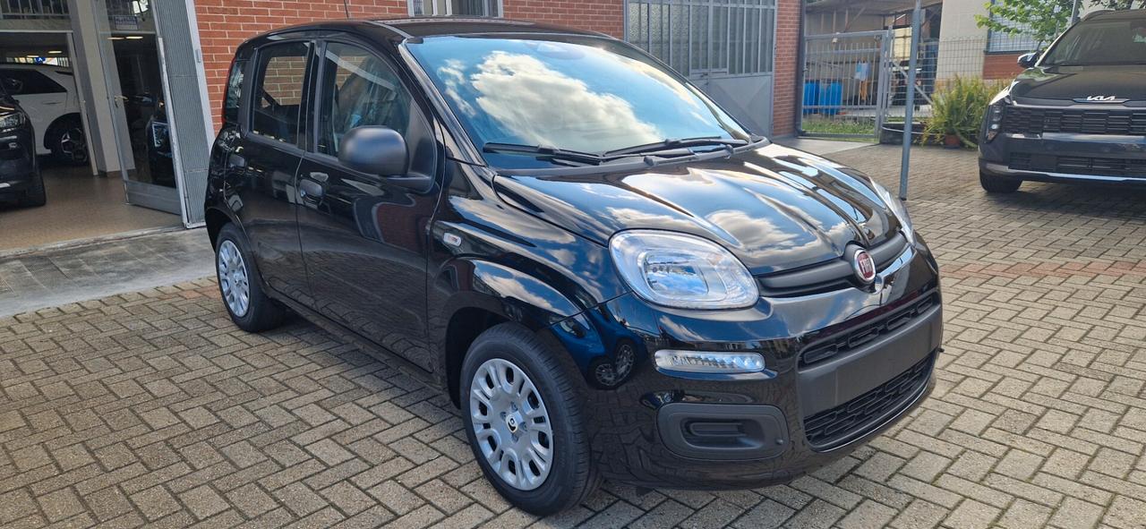 Fiat Panda 1.0 FireFly S&S Hybrid Icon
