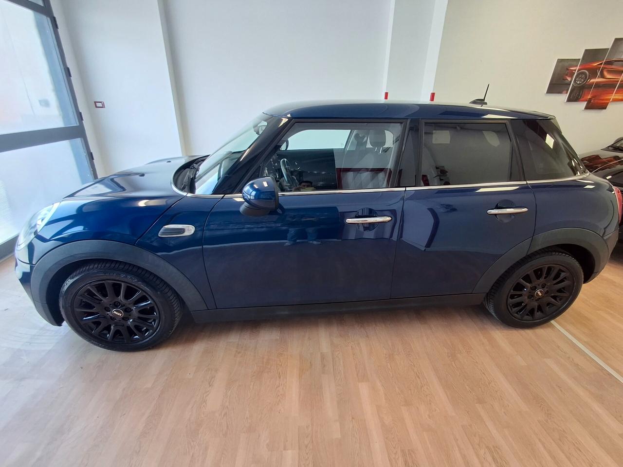 Mini Mini 1.5 One D