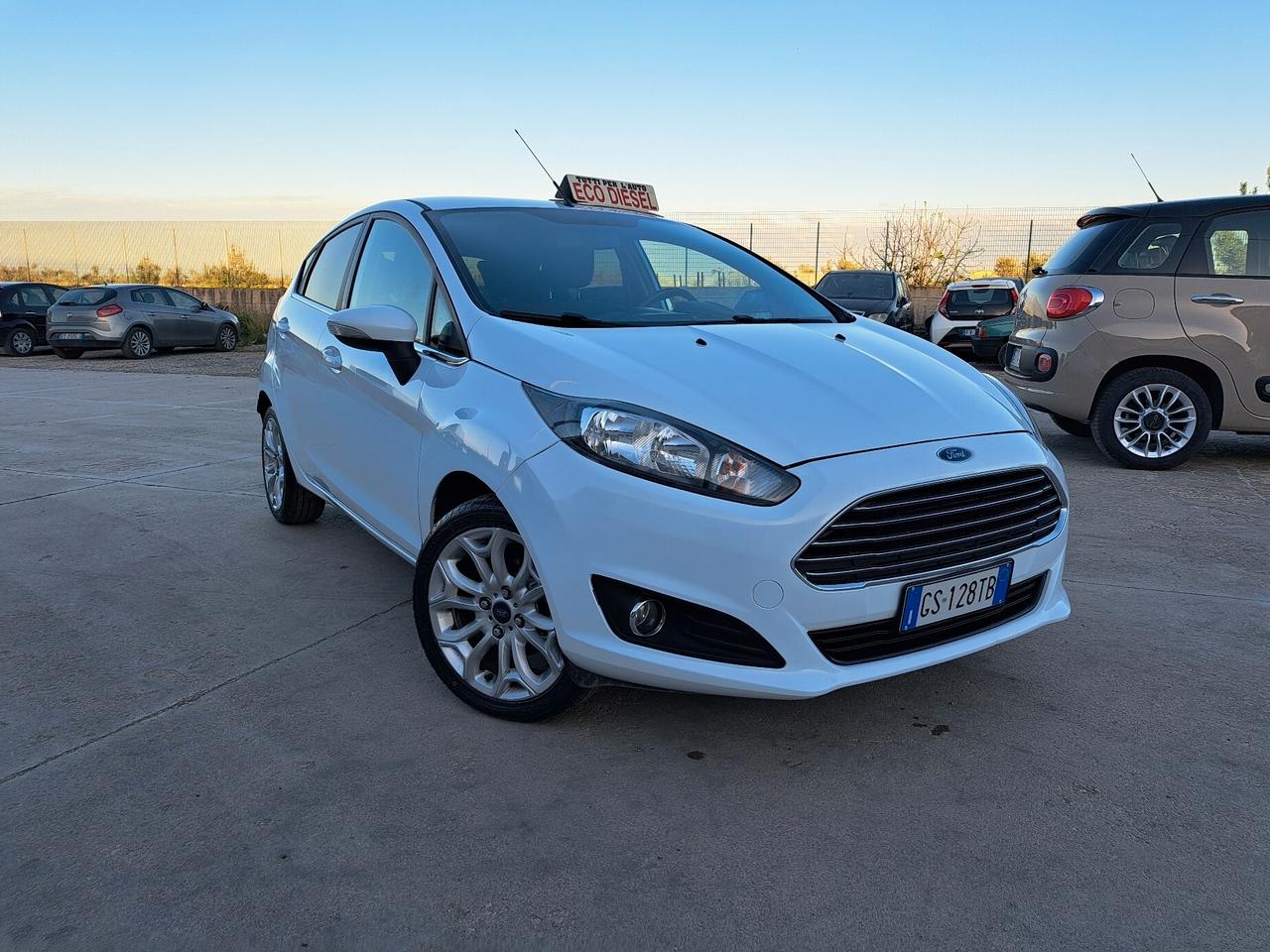 Ford Fiesta 1.5 TDCi 75CV 5 porte Titanium - 2013