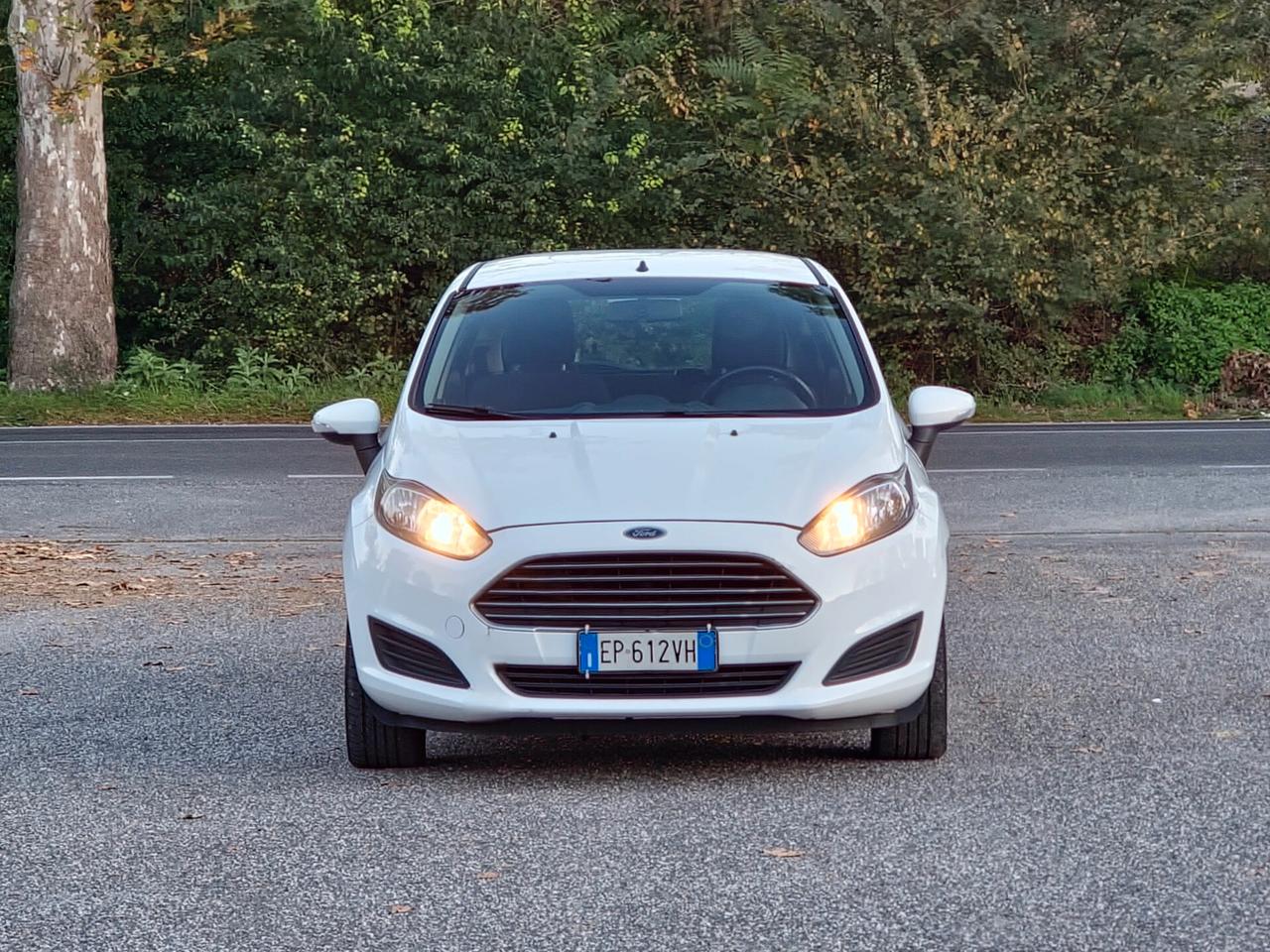 Ford Fiesta 1.5 TDCi 75CV 5 porte Titanium 2013-E5B NEO