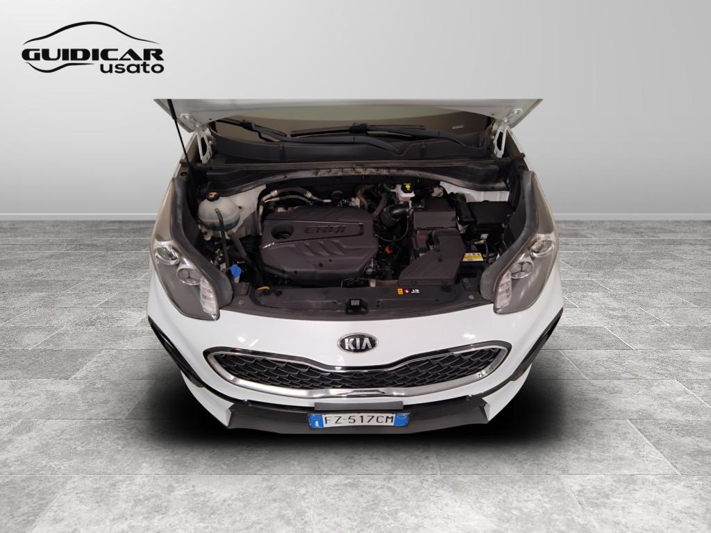 KIA Sportage IV 2018 - Sportage 1.6 crdi mhev Business Class 2wd 115cv