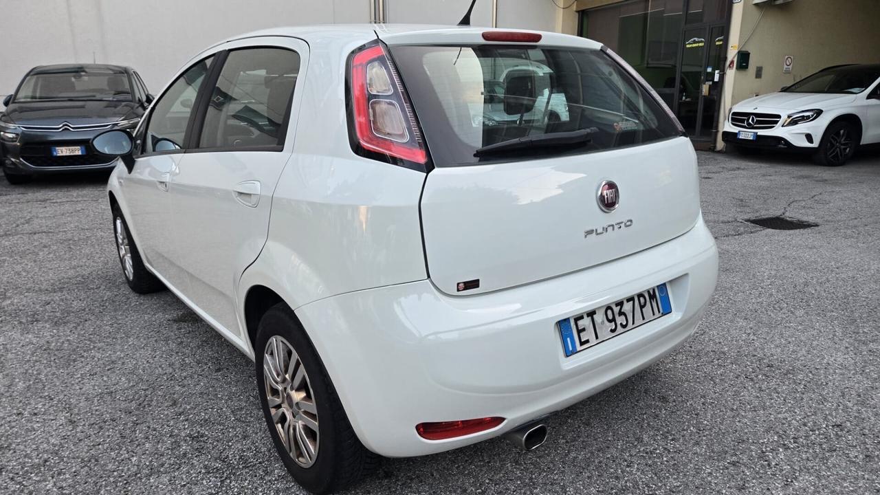 Fiat Punto 1.2 8V 5 porte Street Ok Neopatentati
