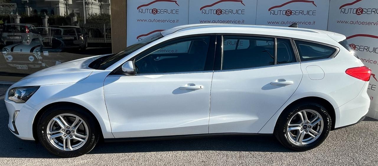 Ford Focus 1.5 EcoBlue 120 CV automatico SW Business Co-Pilot