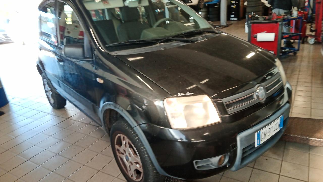 Fiat Panda 1.3 MJT 16V 4x4