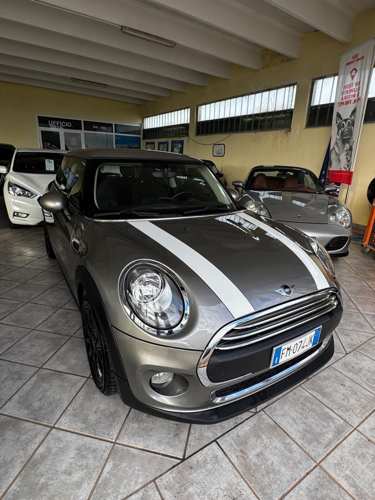 Mini 1.2 One Hype
