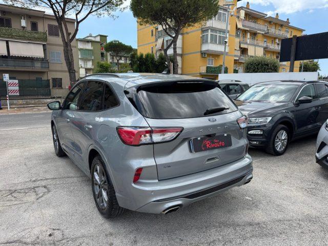 FORD Kuga 1.5 Tdi 120 CV ST-Line X Automatica