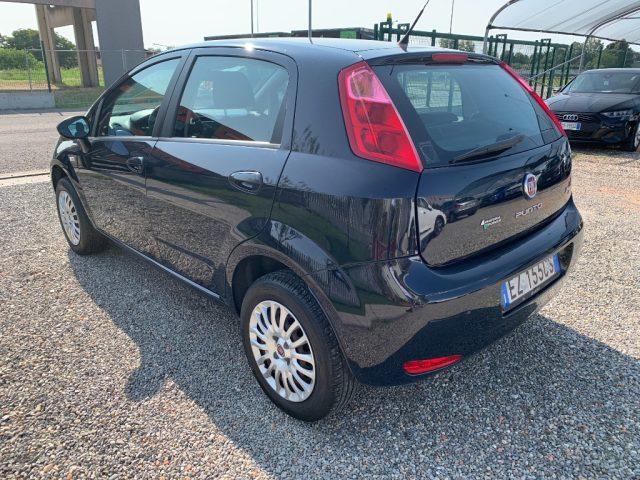 FIAT Punto 1.4 8V 5 porte Natural Power Street