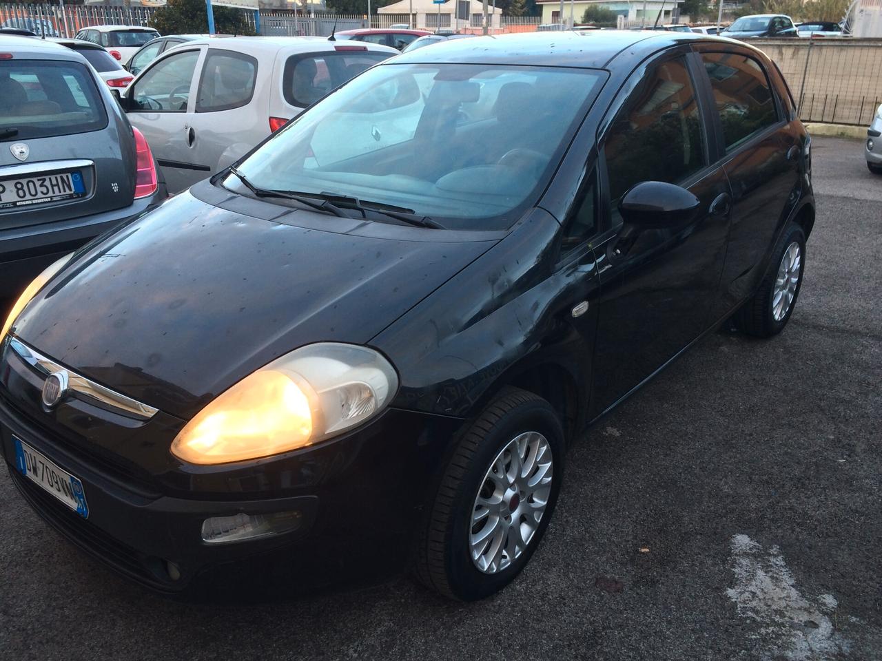 Fiat Punto Evo Punto Evo 1.4 5 porte Active Natural Power tagliandata!!!