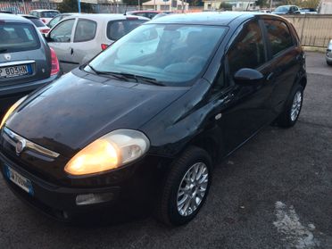 Fiat Punto Evo Punto Evo 1.4 5 porte Active Natural Power !auto per neopatentati!