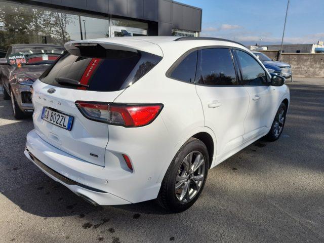 FORD Kuga 2.5 Plug In Hybrid 225 CV CVT 2WD ST-Line X