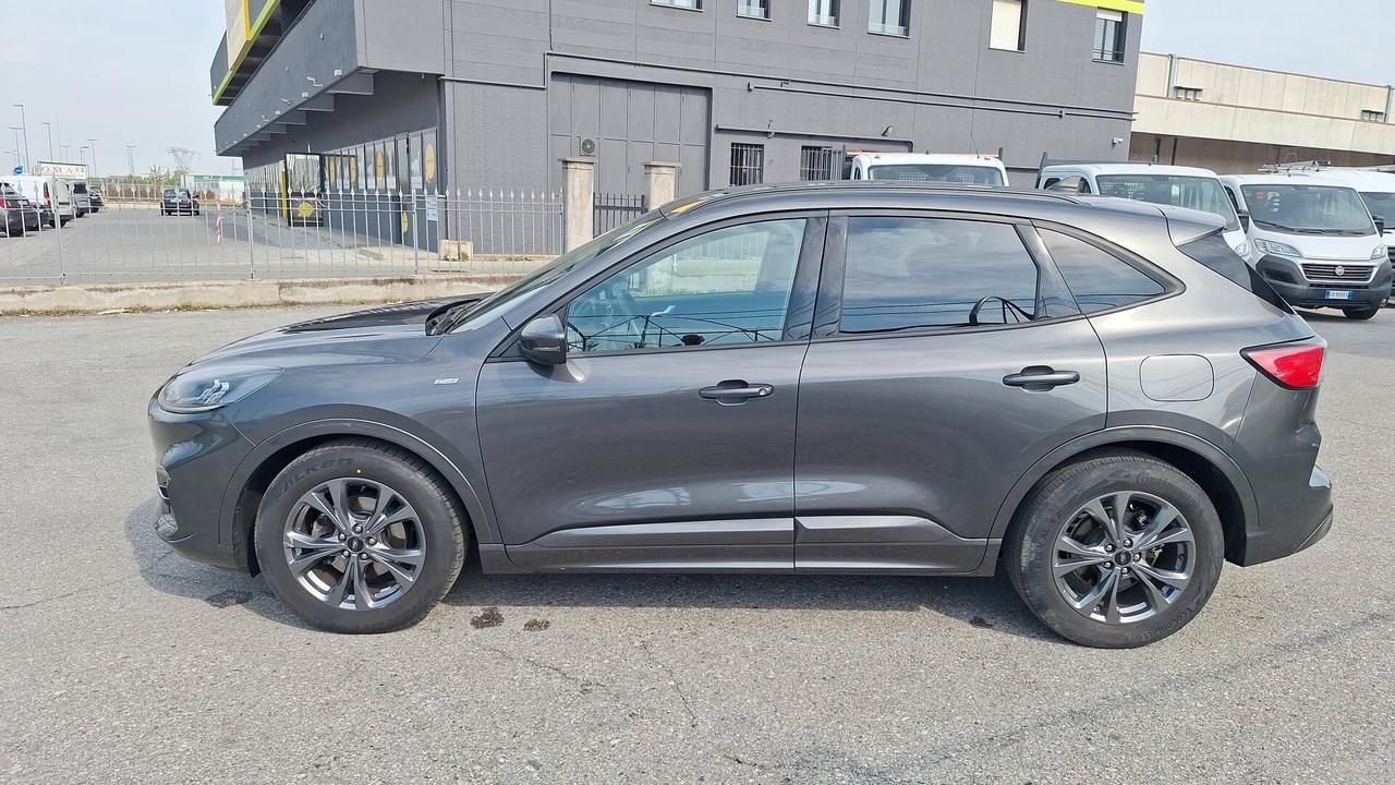 Ford Kuga 1.5 EcoBlue 120 CV 2WD ST-Line