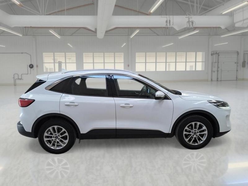 FORD KUGA 1.5 EcoBlue 120CV 2WD Titanium Business