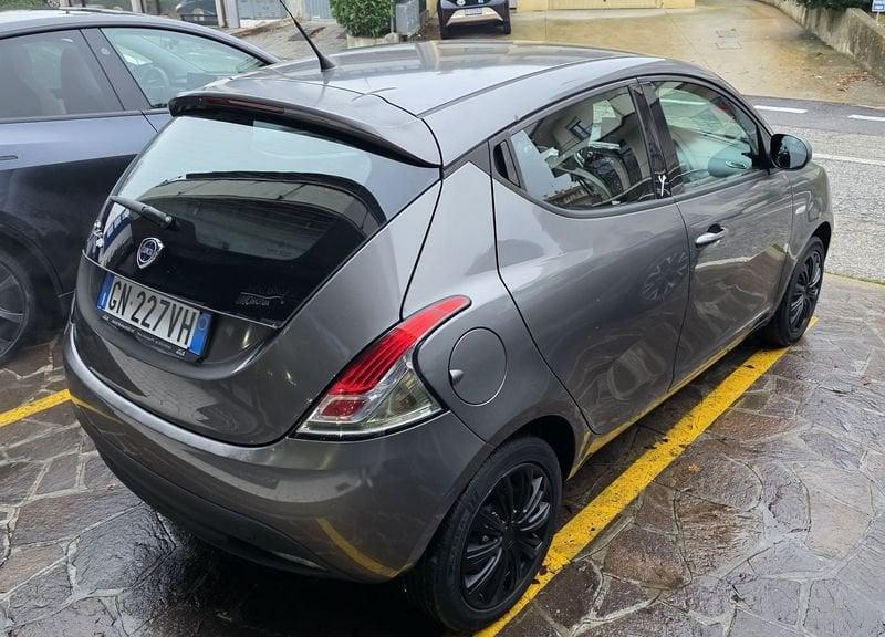 Lancia Ypsilon Ypsilon 1.2 69 CV 5 porte Elefantino GARANZIA