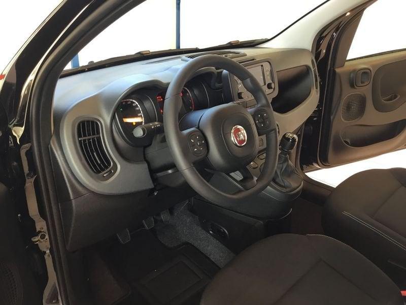 FIAT Panda Panda 1.0 FireFly S&S Hybrid Icon 65cv 4 posti