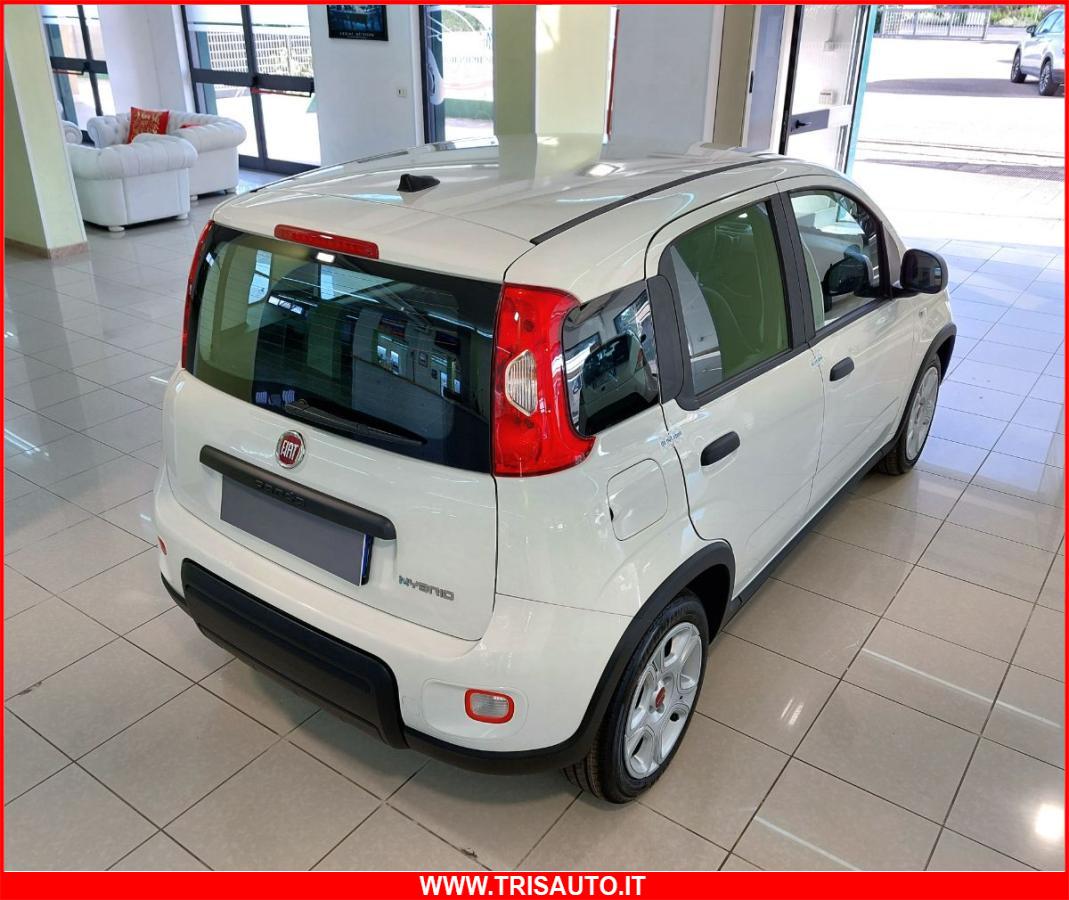 FIAT Panda 1.0 FireFly S&S Hybrid MY24 KM ZERO!!! IVATA NEOPATENTATI