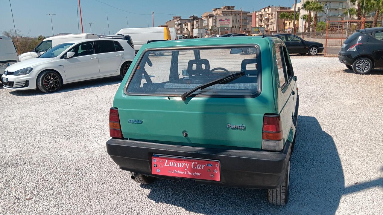 Fiat Panda 900 i.e. cat Young