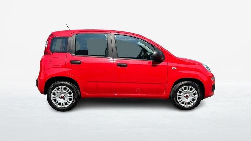 FIAT Panda 1.2 Easy s&s 69cv my19