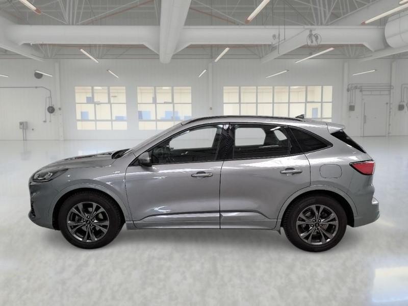 FORD KUGA 1.5 ECOBLUE 120 CV 2WD ST-LINE AUTO SUV