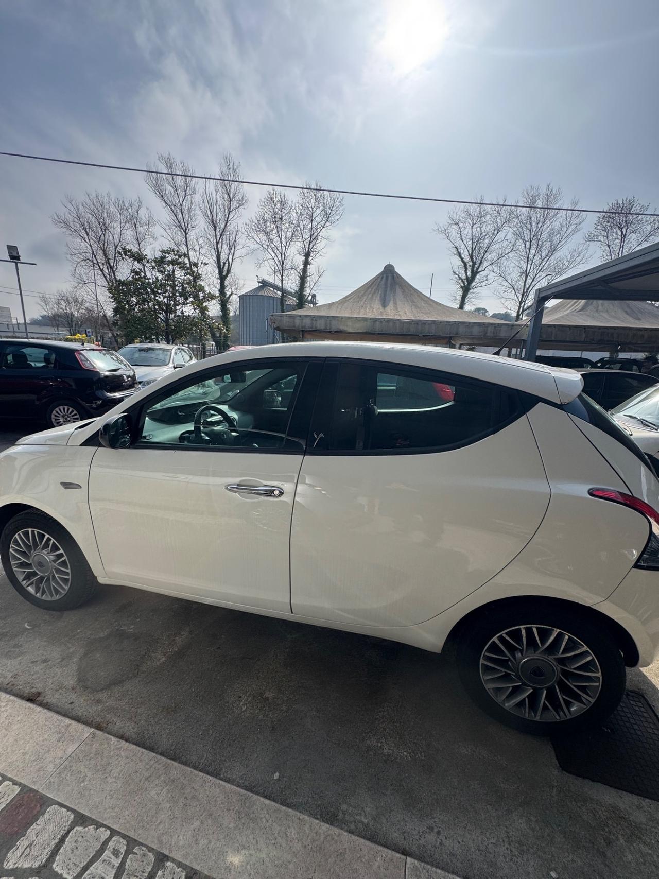 Lancia Ypsilon 1.3 MJT 16V 95 CV 5 porte S&S Platinum