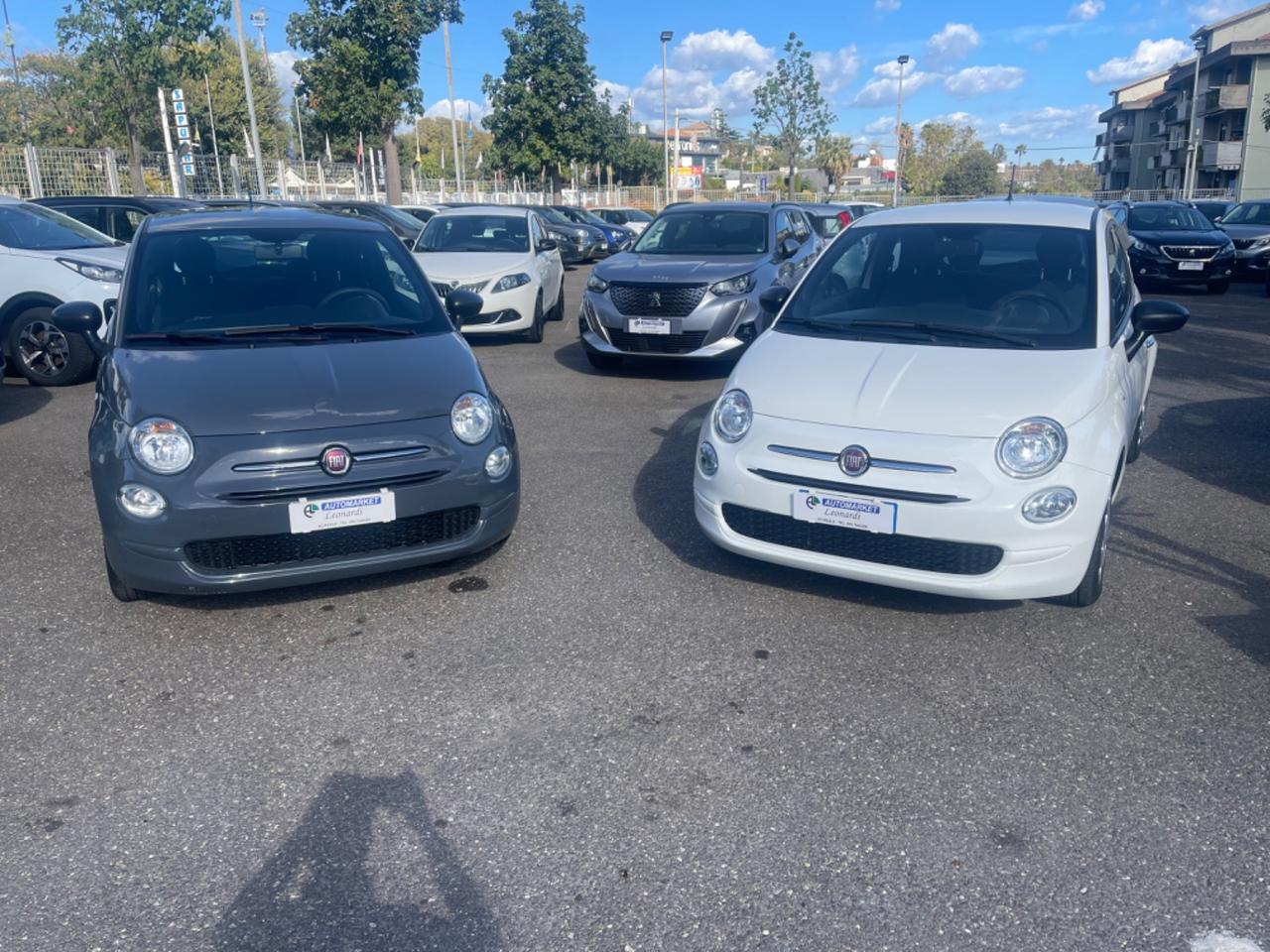 Fiat 500 Fiat 500 CULT & DOLCEVITA vari colori 2021/2022