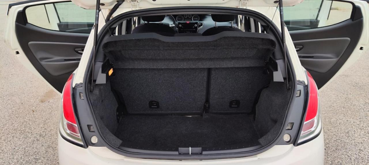 Lancia Ypsilon 1.3 MJT 16V 95 CV 5 porte S&S Platinum