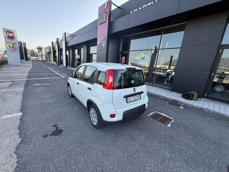 FIAT Panda NEW 1.0 70cv Hybrid PANDA