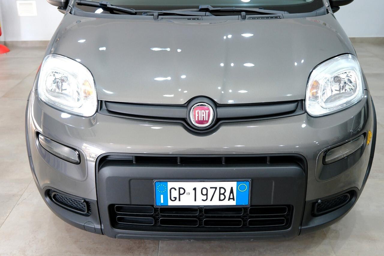 Fiat Panda Hybrid 1000 70cv City Life