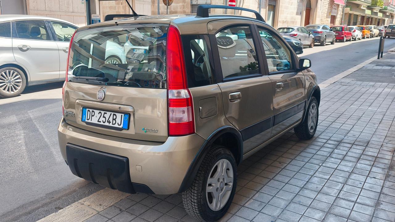 Fiat Panda 1.2 Climbing Natural Power 2008