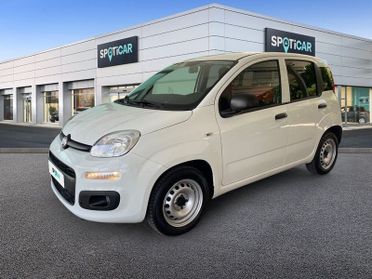 FIAT Panda 1.0 70cv Hybrid Euro 6d Van 2 p. POP