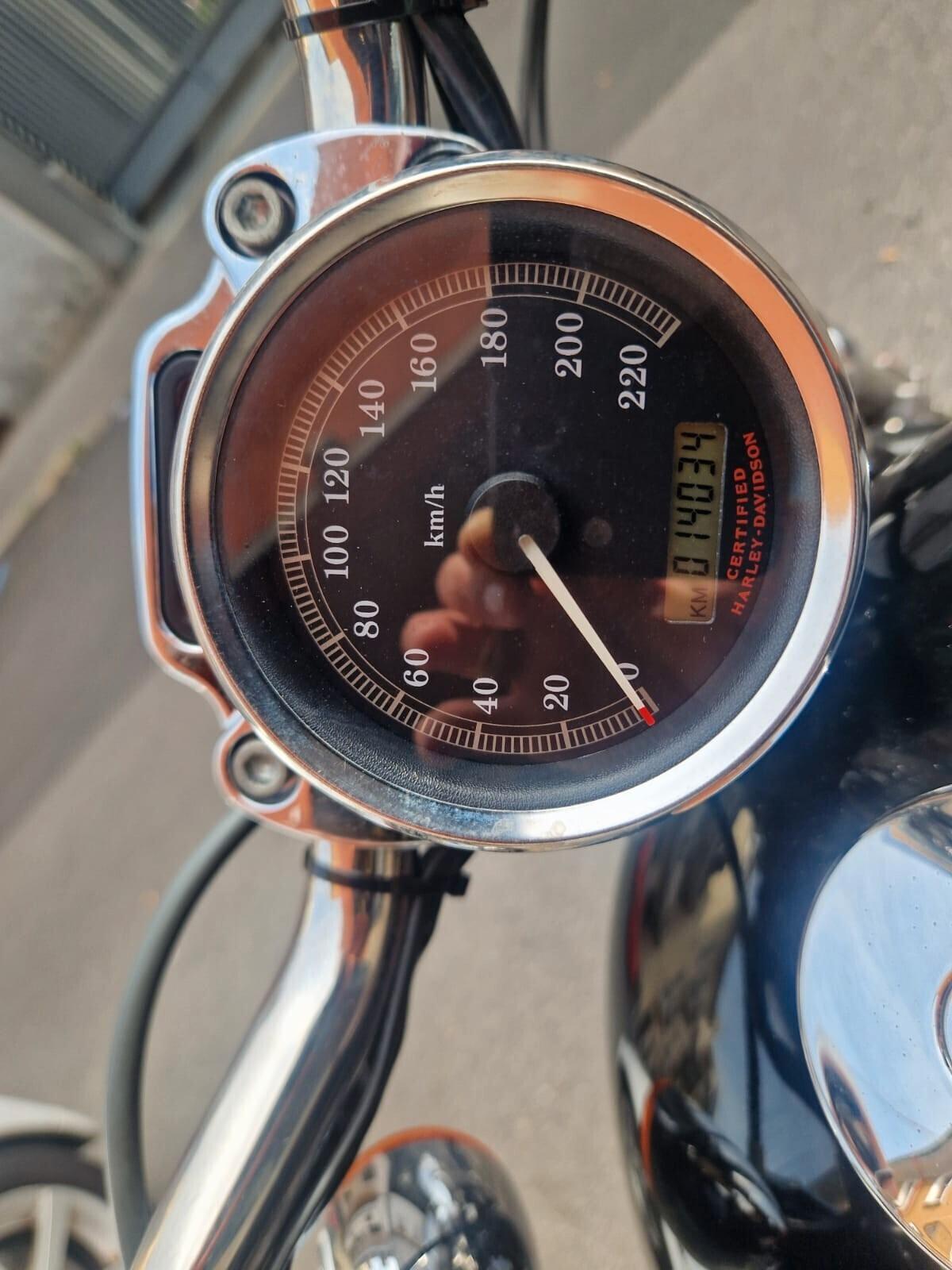 Harley-davidson 883 Sportster Custom SOLO 14.000 KM