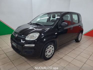 FIAT Panda Panda 1.2 Lounge