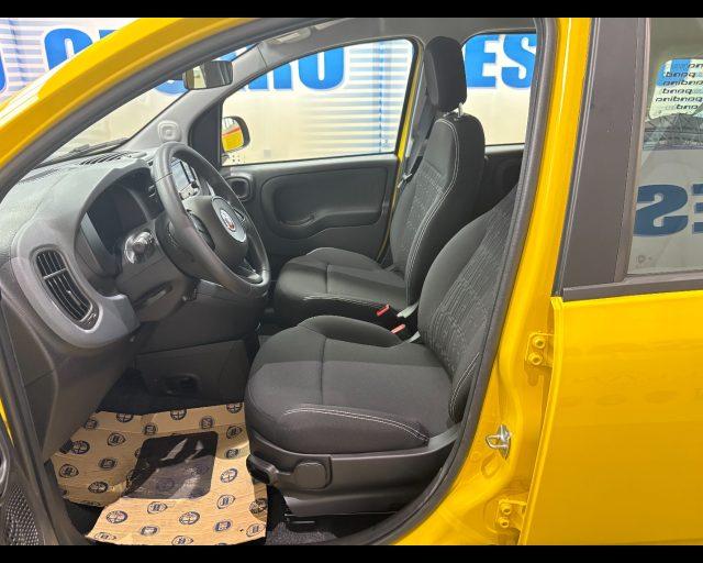 FIAT Pandina 1.0 firefly hybrid Icon s&s 65cv