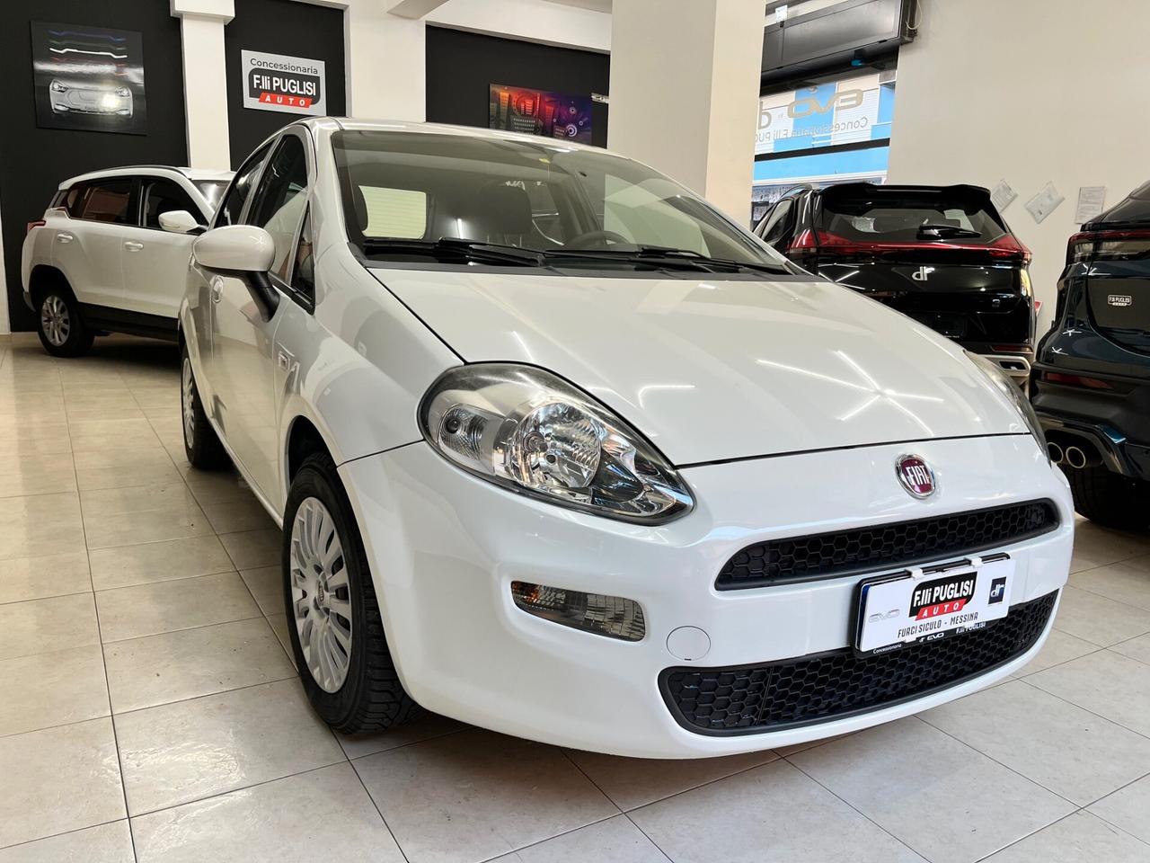 Fiat Punto 1.2 8V 5 porte Street KM 66.600 - 2016