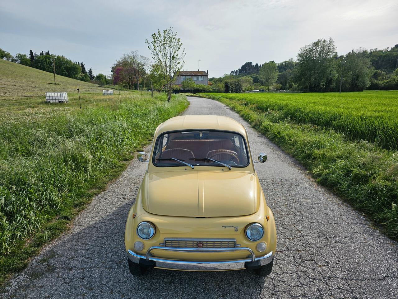 Fiat 500 My Car Francis Lombardi