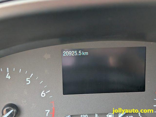 FORD Puma 1.0 EcoBoost Hybrid 125 CV S&S Titanium