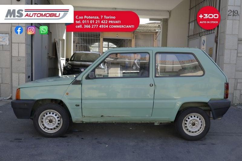 FIAT Panda 900 i.e. cat Young