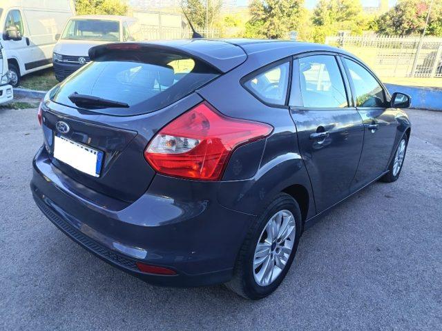 FORD Focus 1.6 TDCi 115 CV