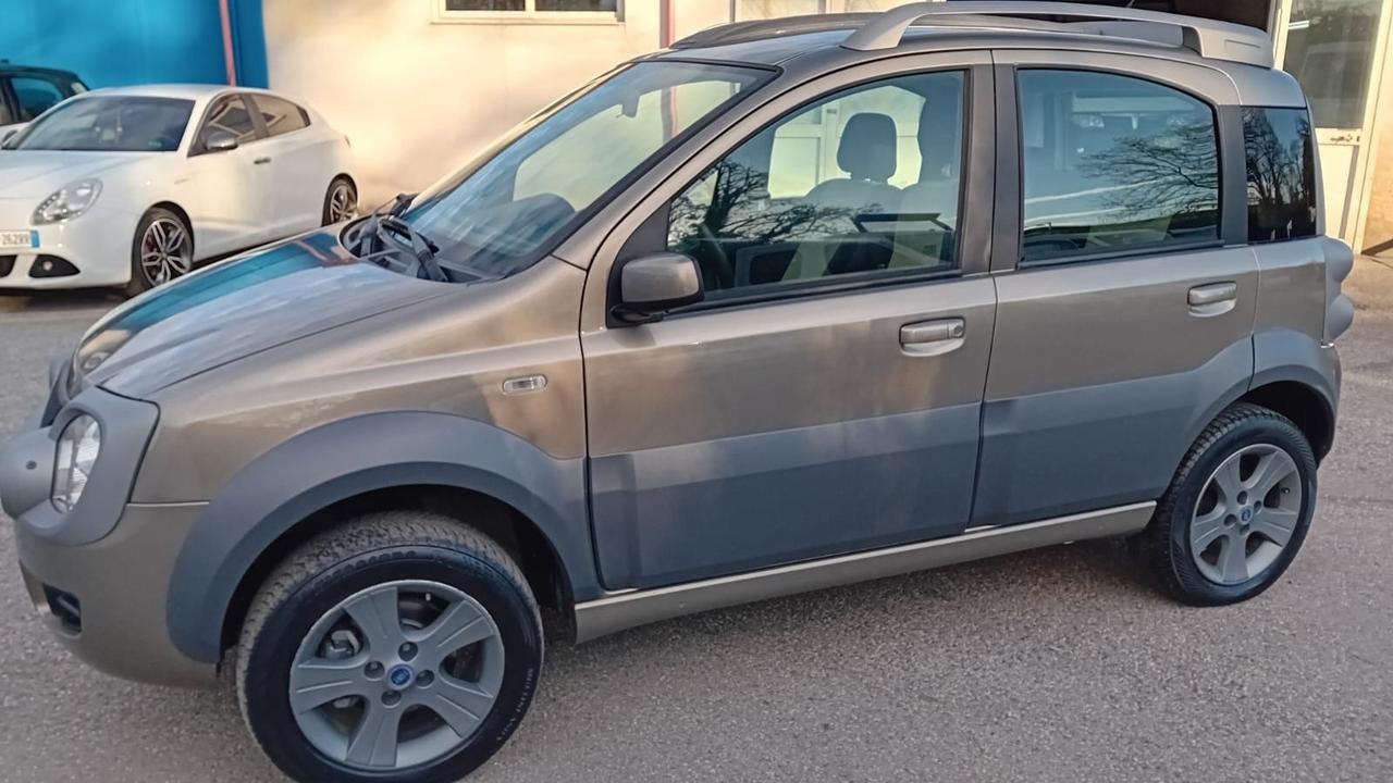 Fiat Panda cross 4 × 4-1.3 mjt-2007