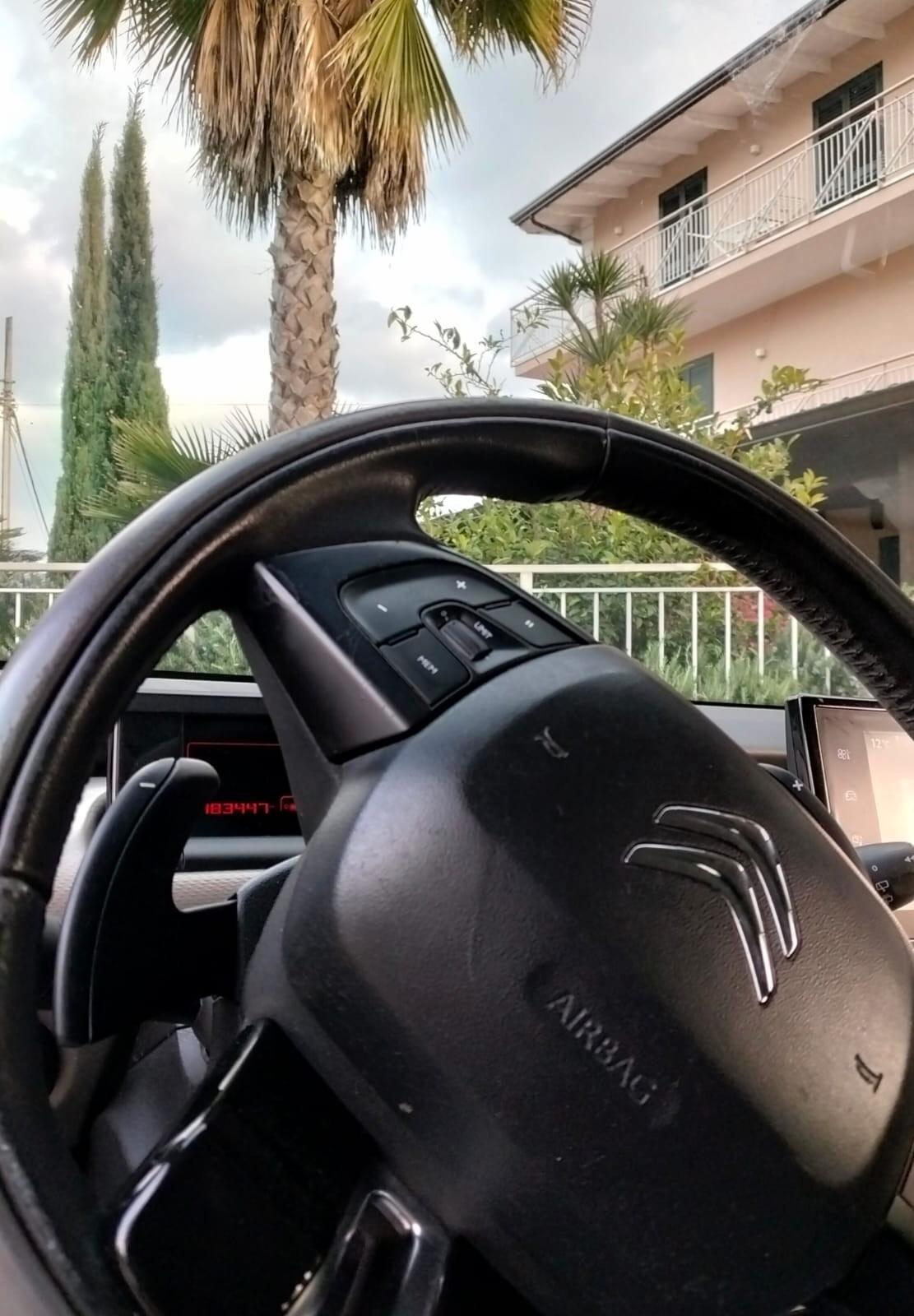 Citroen C4 Cactus 1.6 e-HDi 115 CV Stop&Start SW Allure