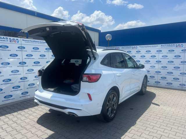 Ford Kuga 2.5 Plug In Hybrid 225 CV CVT 2WD ST-Line X