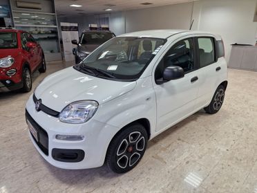 Fiat Panda 1.2 anno 2020