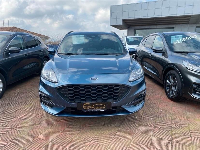 Ford Kuga 1.5 EcoBlue 120 CV 2WD ST-Line
