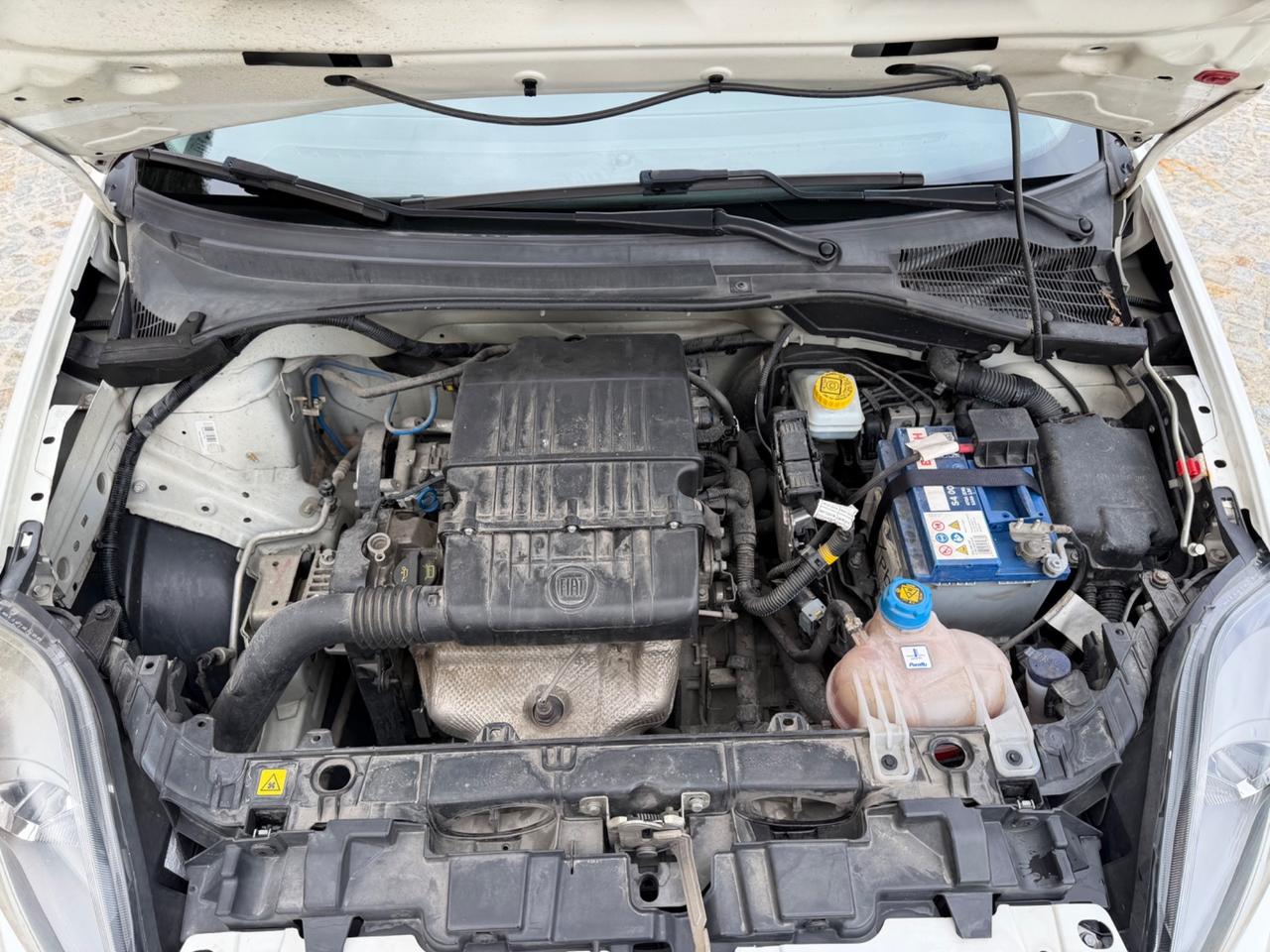 Fiat Punto 1.2 8V 5 porte Lounge km 80000