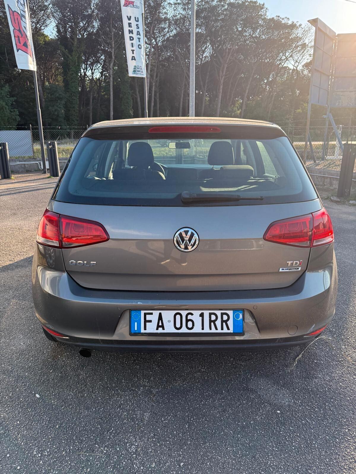 Volkswagen Golf 1.6 TDI 110 CV 5p. Business 4 Free BMT