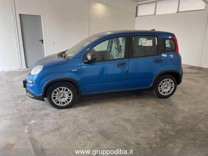 FIAT Panda Serie 7 1.0 70cv HybridPanda
