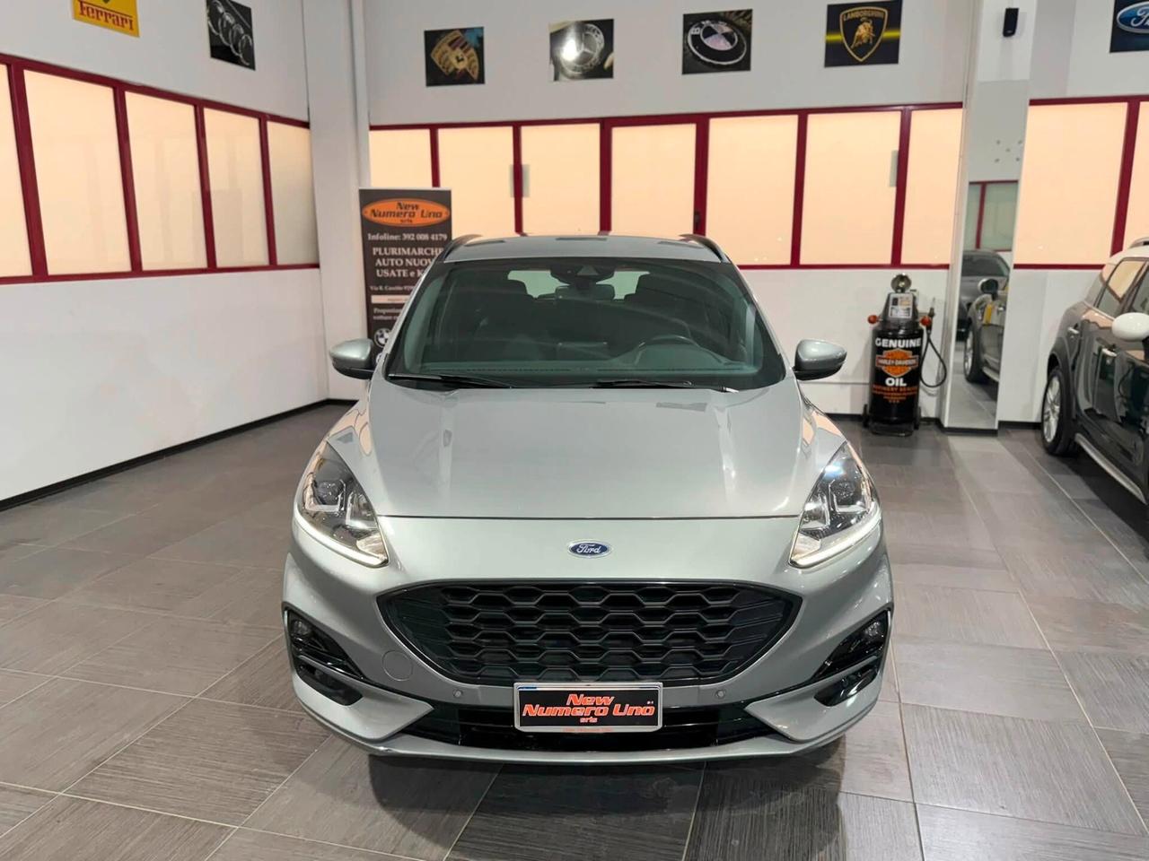 Ford Kuga 1.5 Ecoblue ST-Line 120cv Autom2022