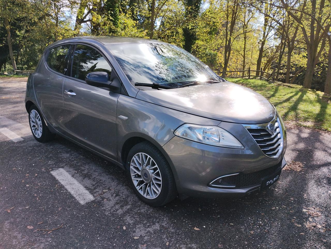 Lancia Ypsilon 1.3 MJT 16V 95 CV 5 porte S&S Platinum