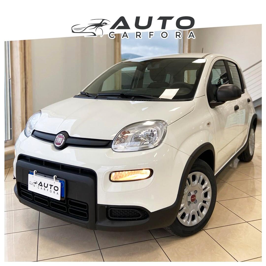 Fiat Panda 1.0 FireFly S&S Hybrid City Life