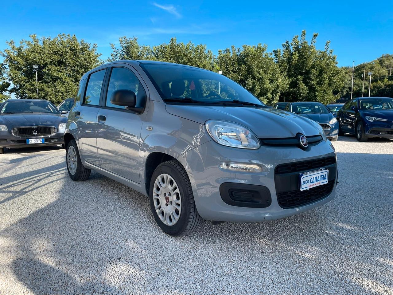 Fiat Panda 1.2 B Lounge - 2019