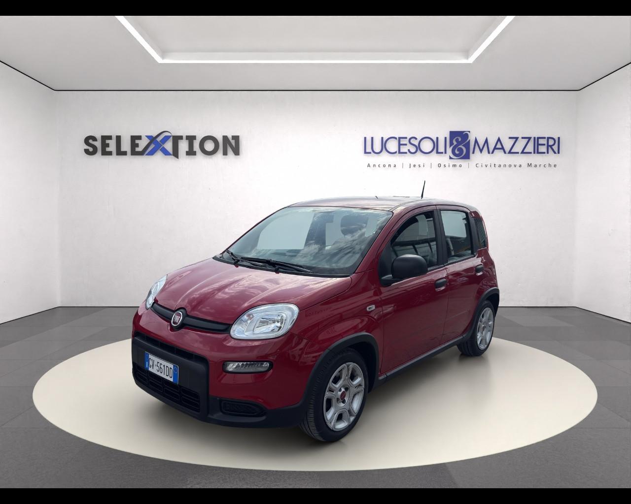 FIAT Panda My23 1.0 70cv Hybrid Panda
